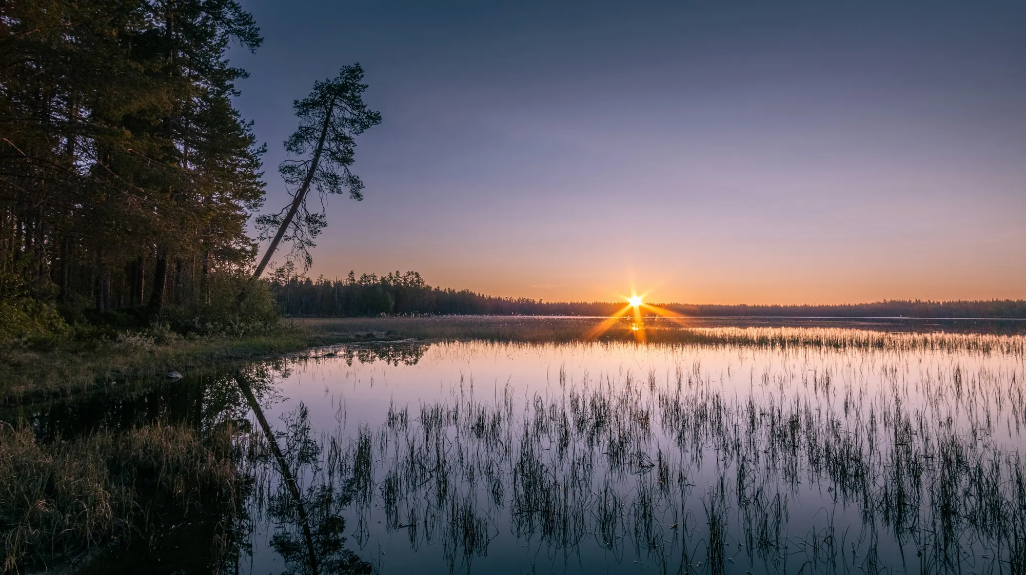 Aamun valo ja kevyt usva suomalaisen metsäjärven yllä